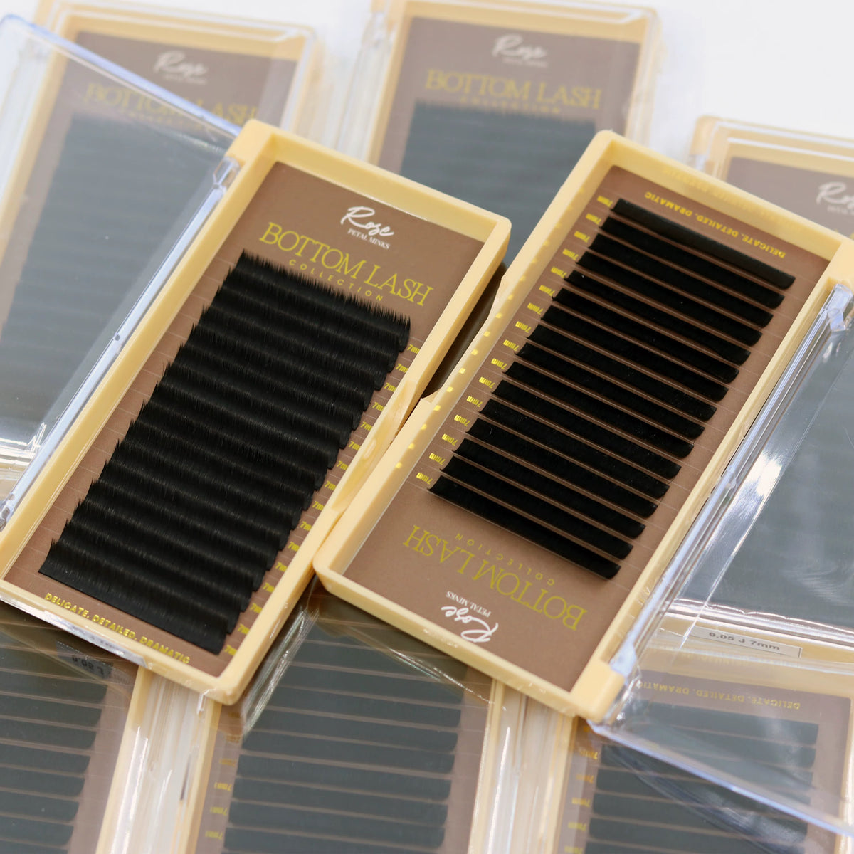 Bottom Lash Collection